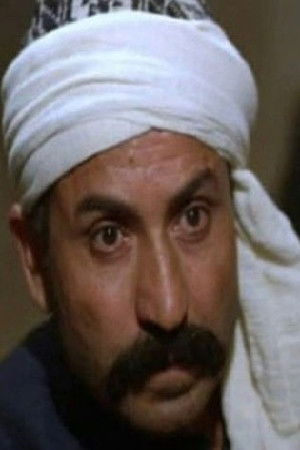 et billede af Helmy El Ghamrawy