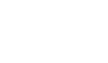 Polo Logo