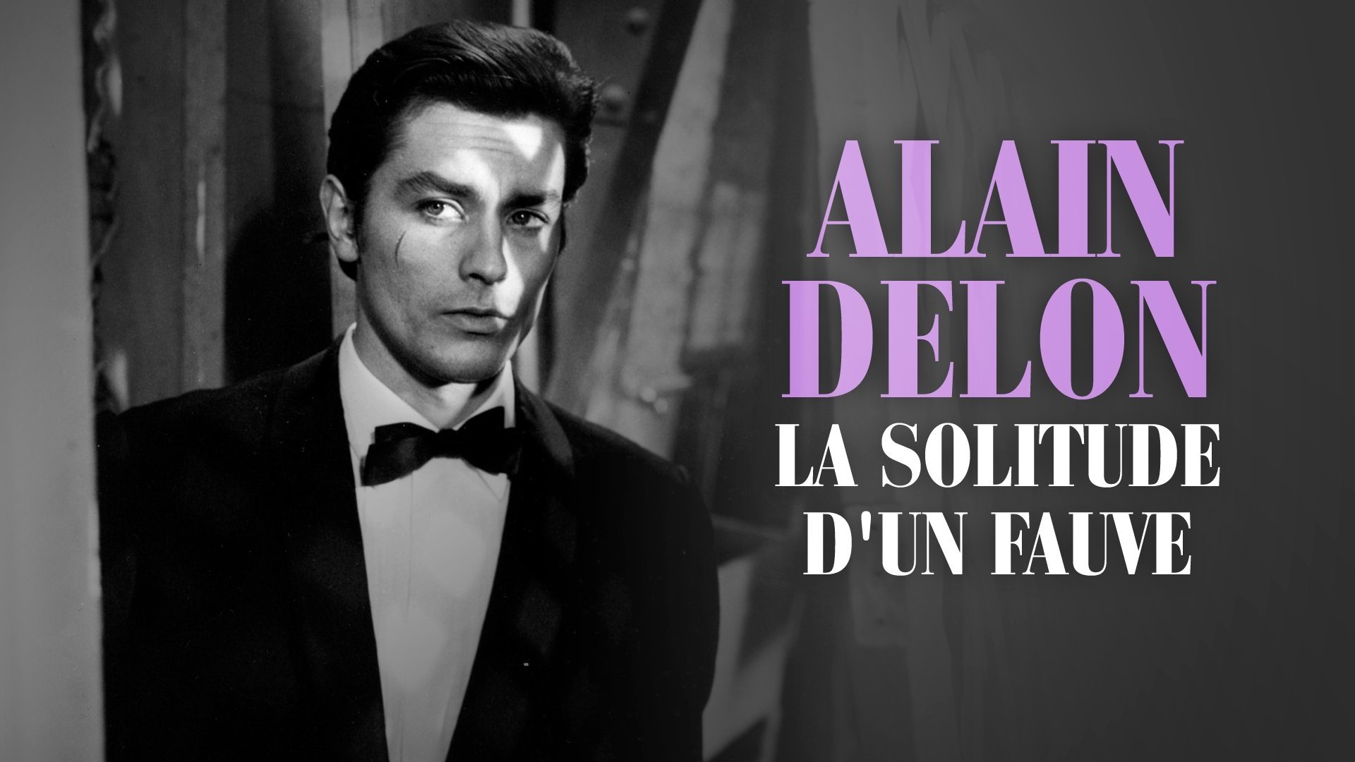 Alain Delon, la solitude d'un fauve