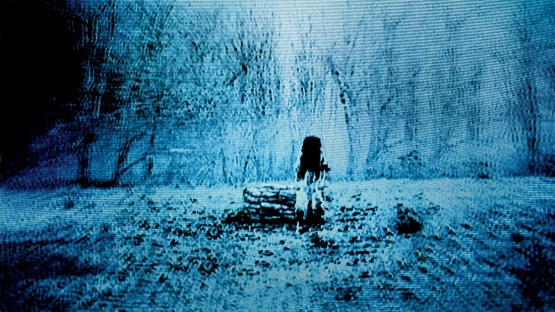 The Ring (La señal) (2002)