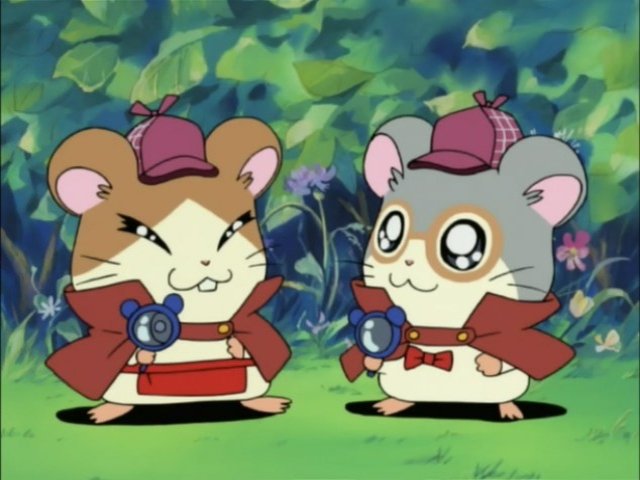 Hamtaro