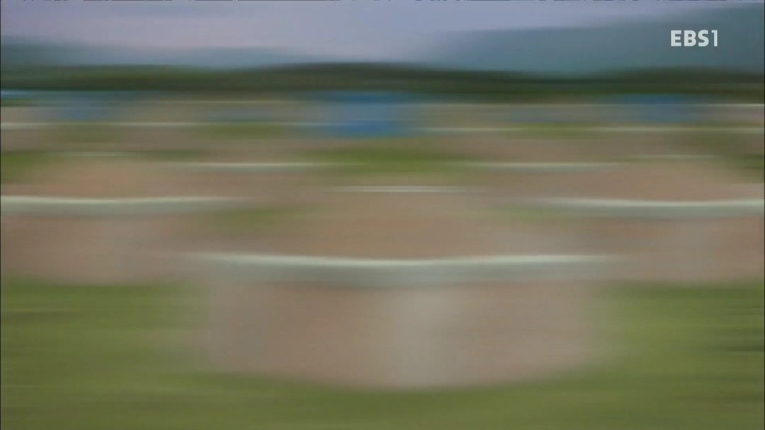 Thumbnail for Episode 24 Season 1 Episode 24