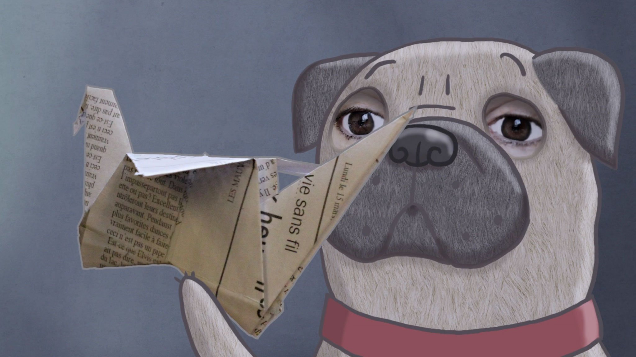 Monsieur Pug (2014)