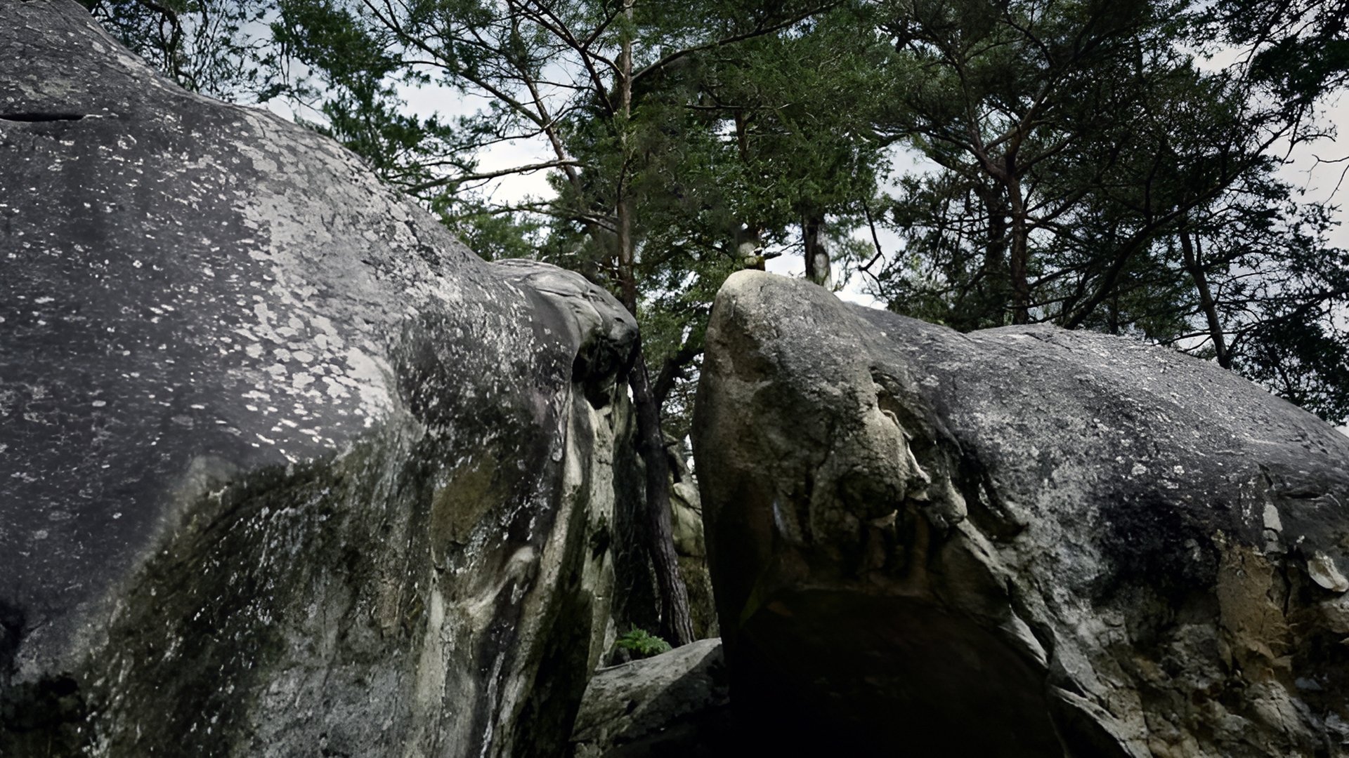 Aventure à Bleau (1980)