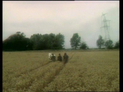 Tripods