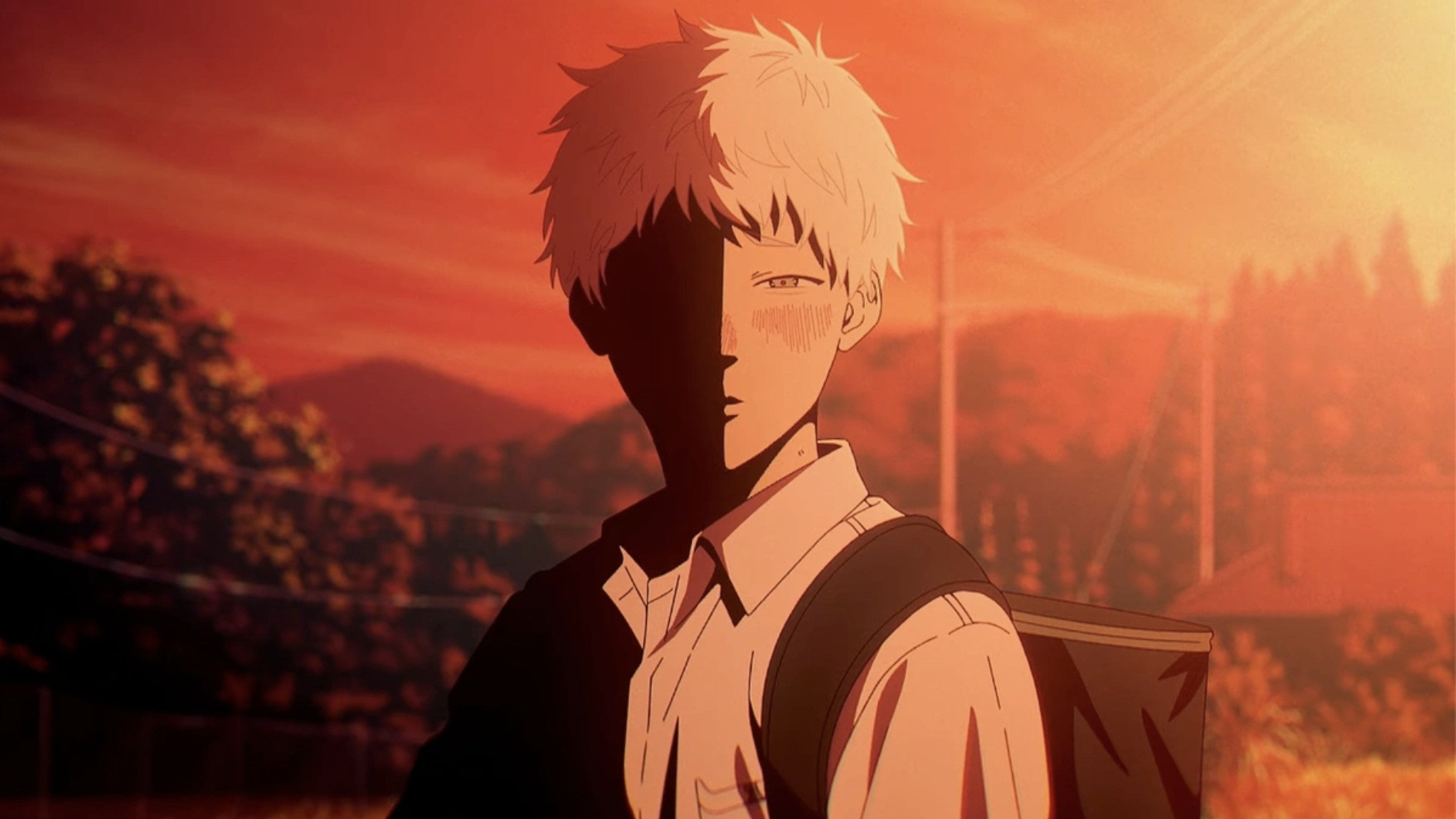 The Summer Hikaru Died