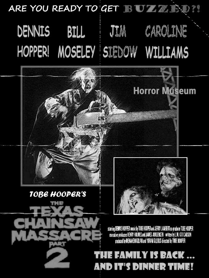 The Texas Chainsaw Massacre 2