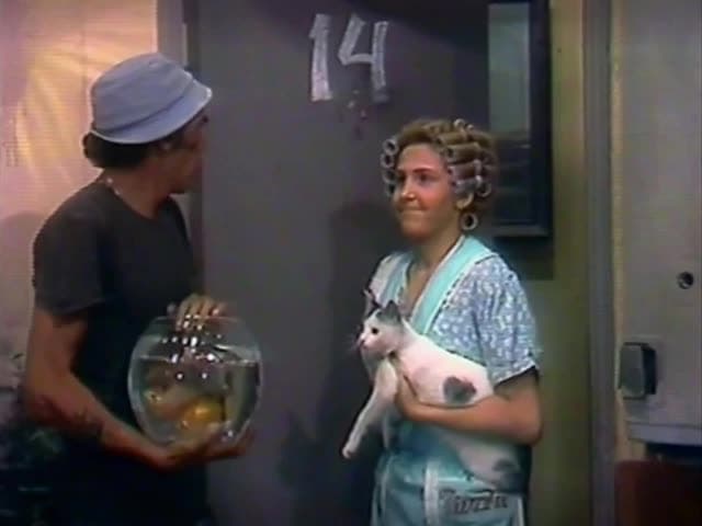 El Chavo del Ocho