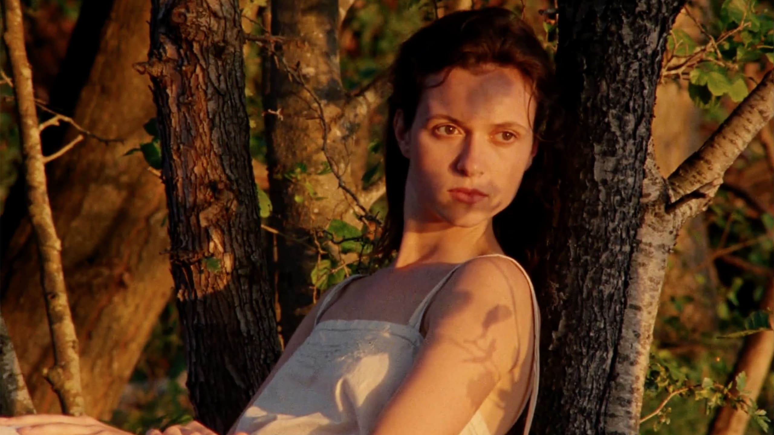 Poster of Scarlet