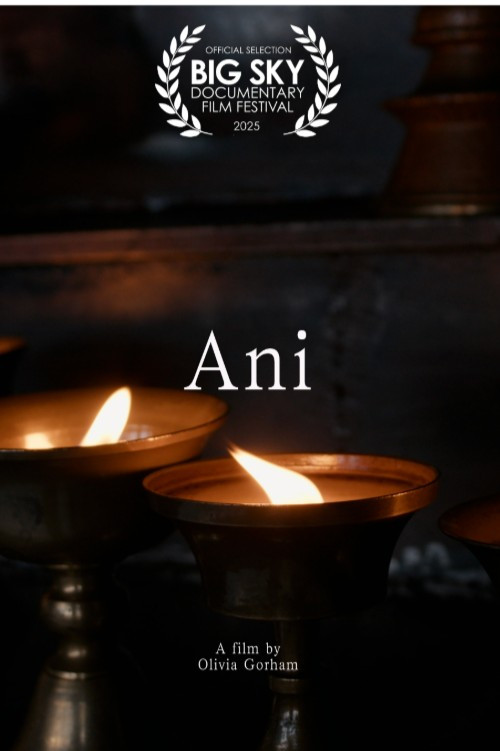 Poster for Ani
