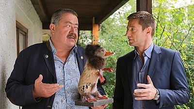 The Fall of the Fells