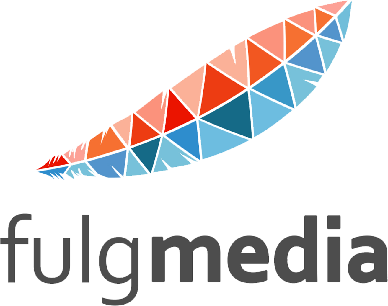 Fulg Media Production