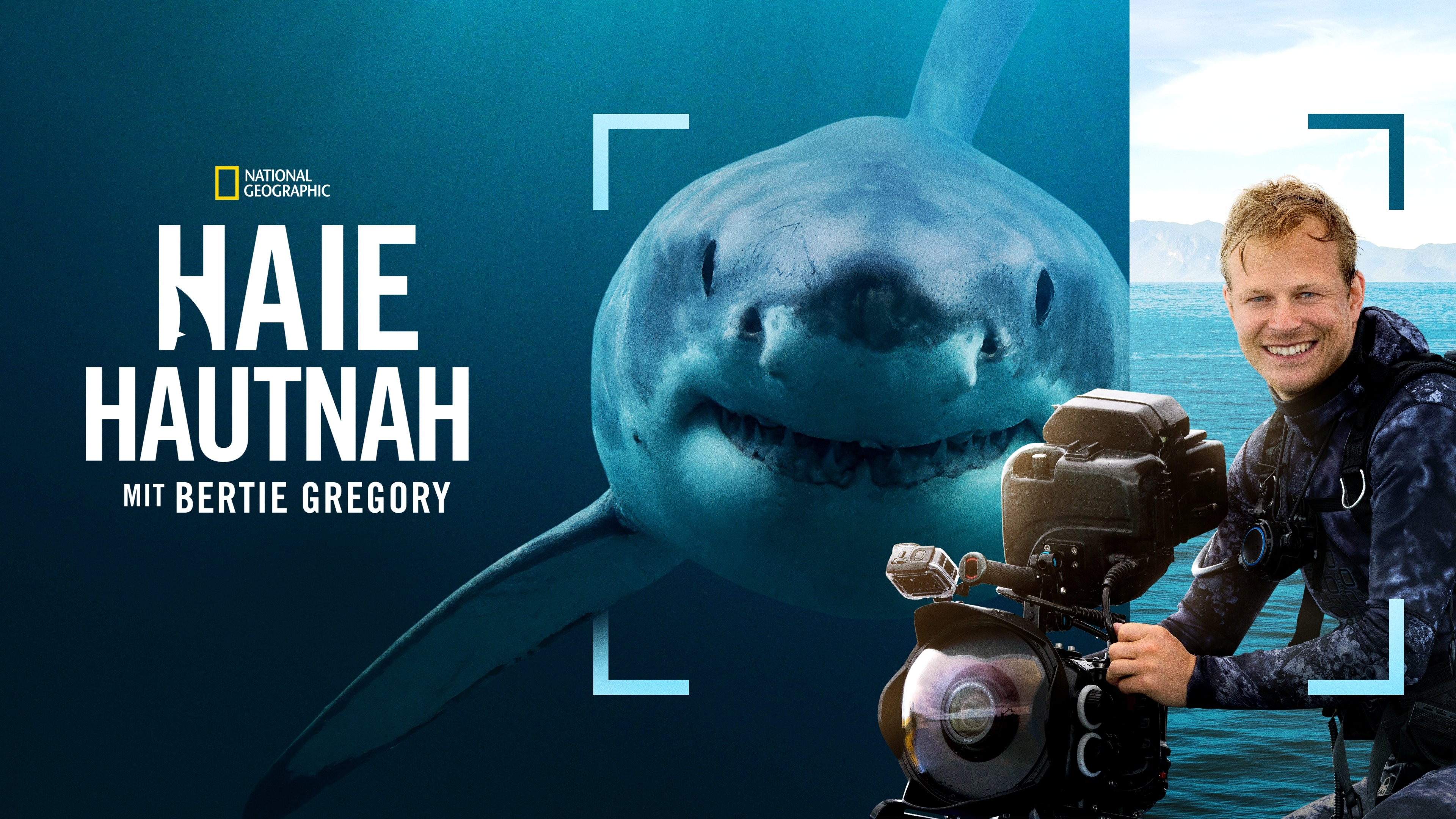 Sharks Up Close with Bertie Gregory backdrop