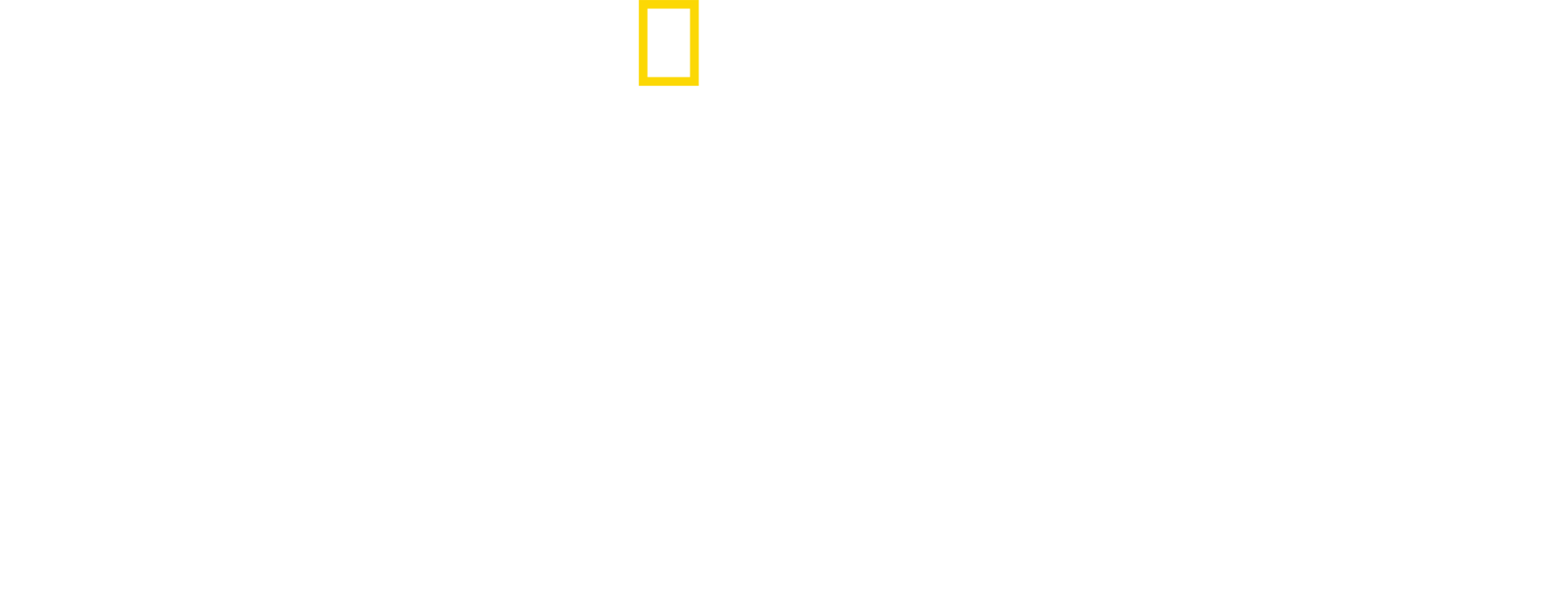 Witness to Disaster Logo