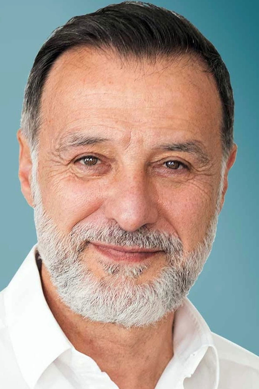 et billede af Luca Canonici