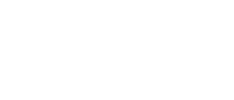 The Little Giant Logo