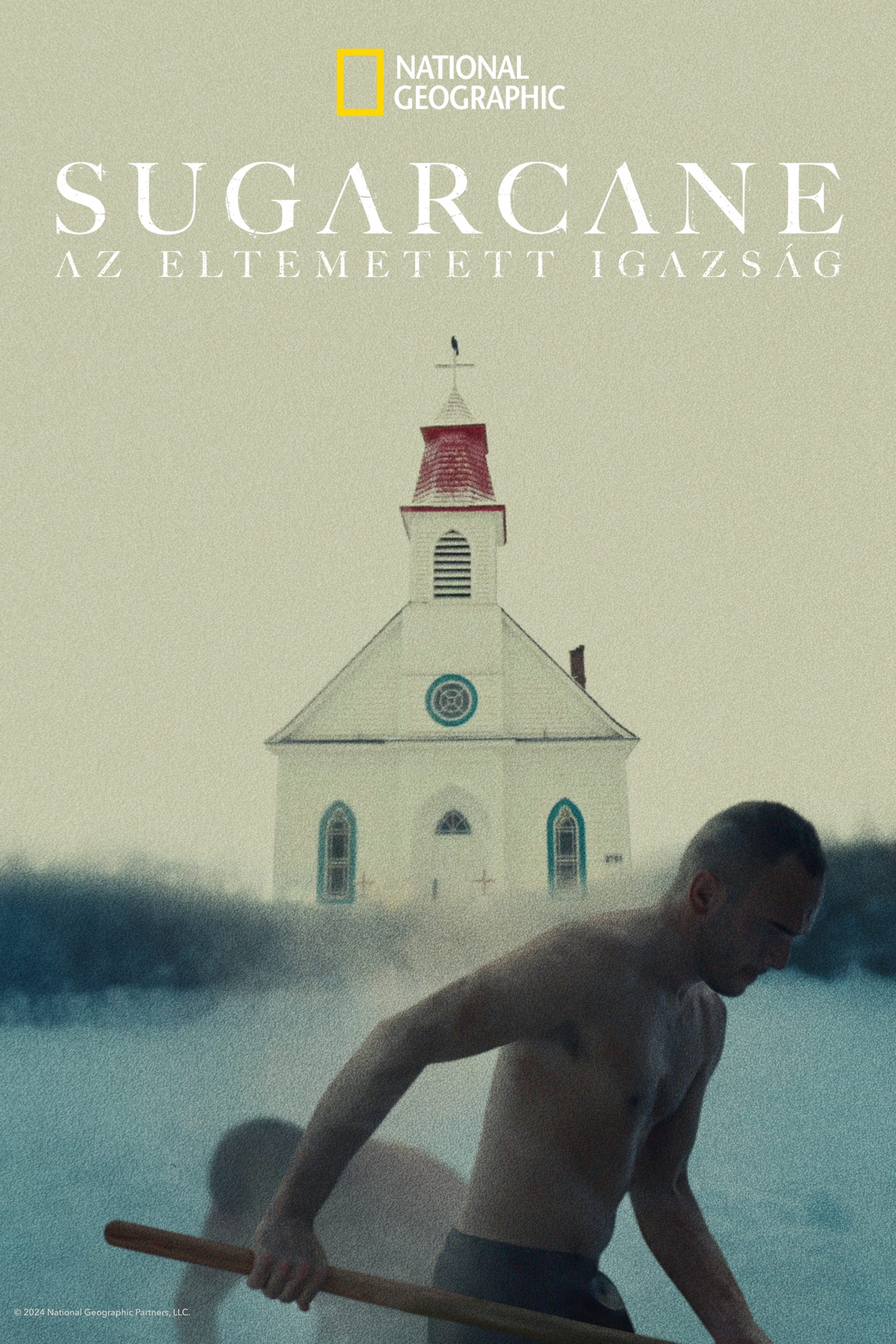Sugarcane: Az eltemetett igazság