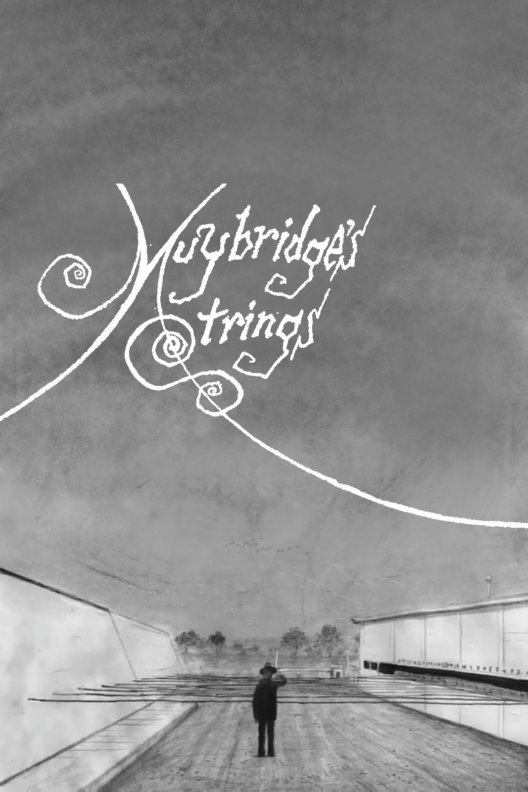 Muybridge's Strings