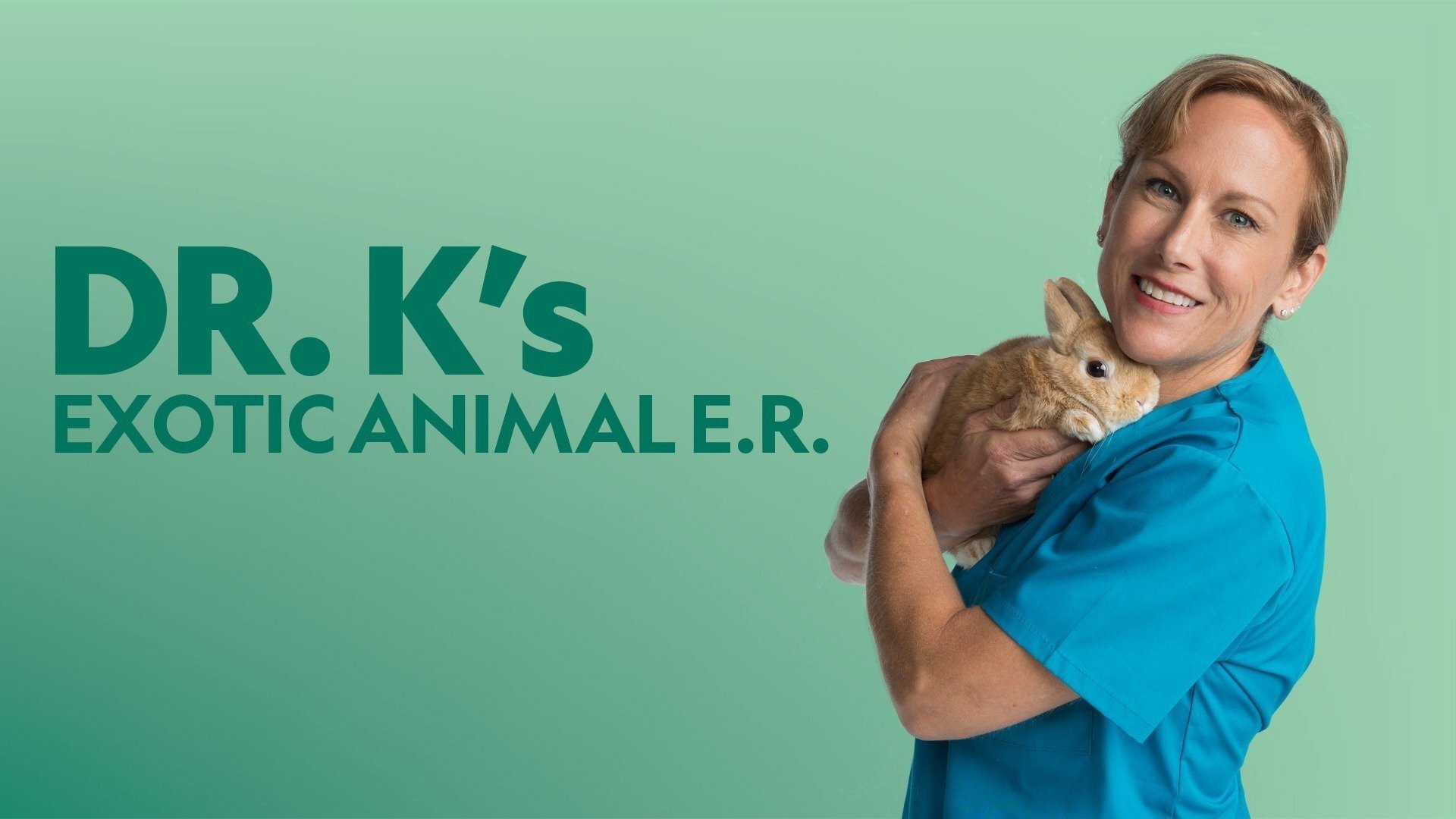 Dr. K's Exotic Animal ER