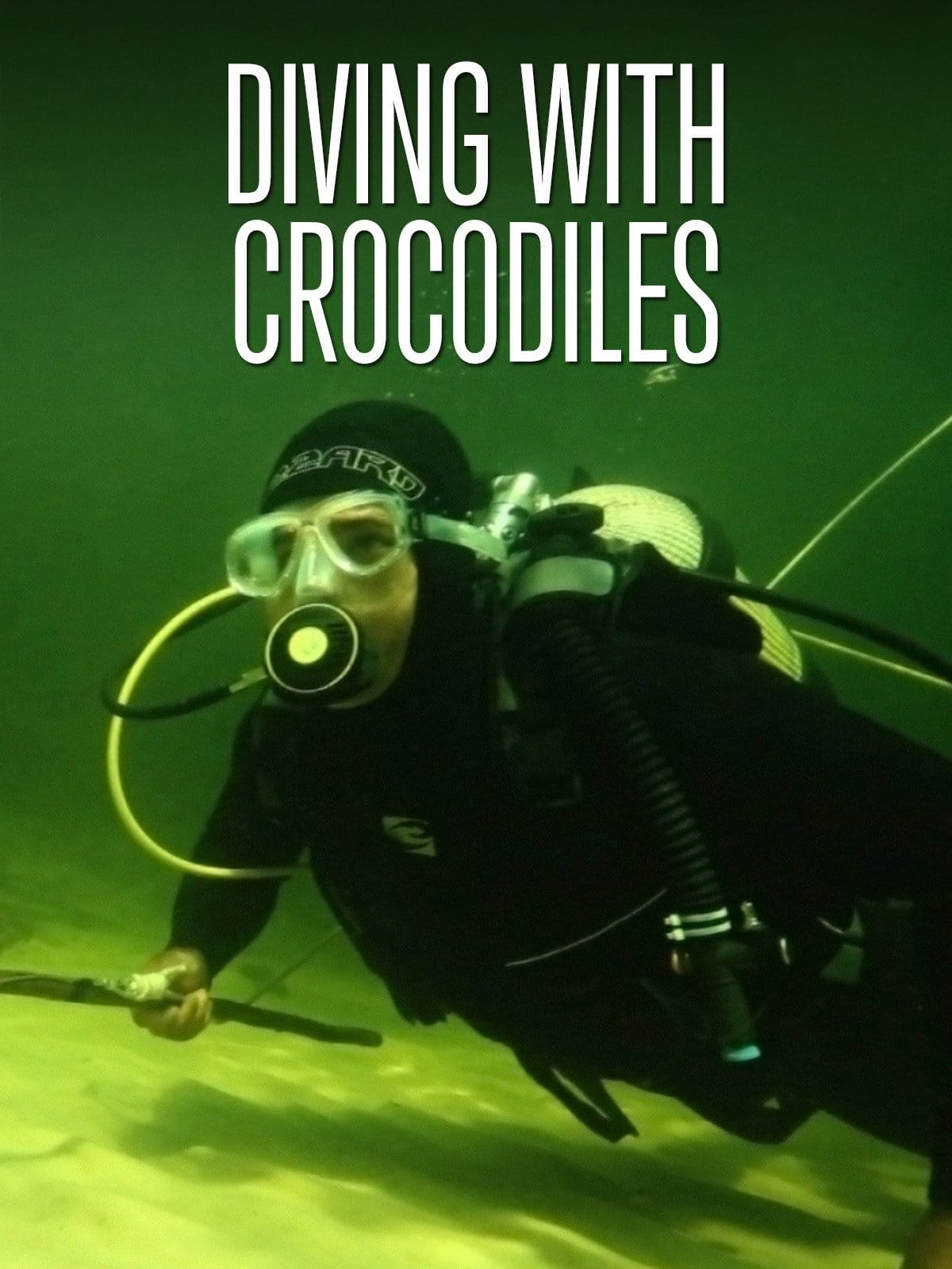 Diving with Crocodiles
