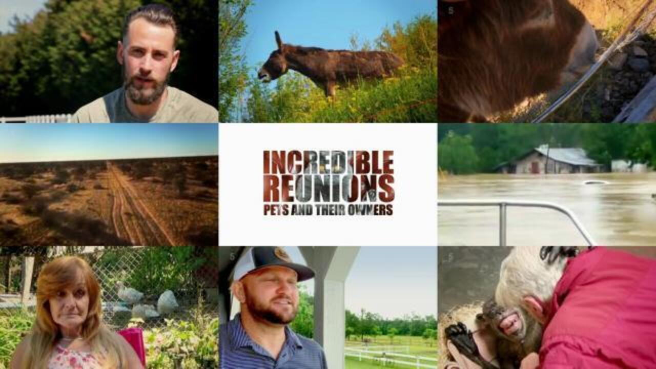Incredible Reunions Pets and their Owners