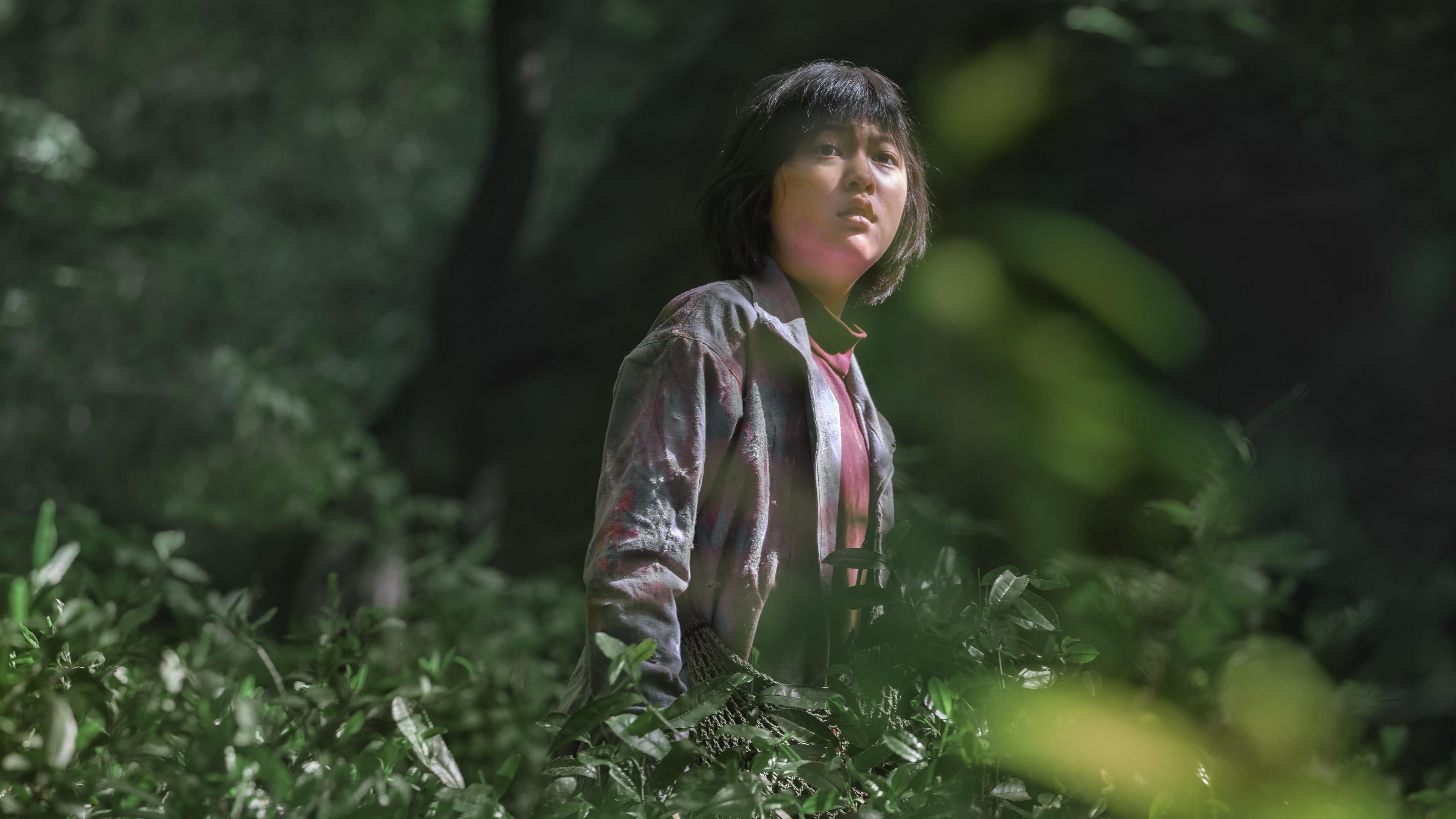 Okja (2017)