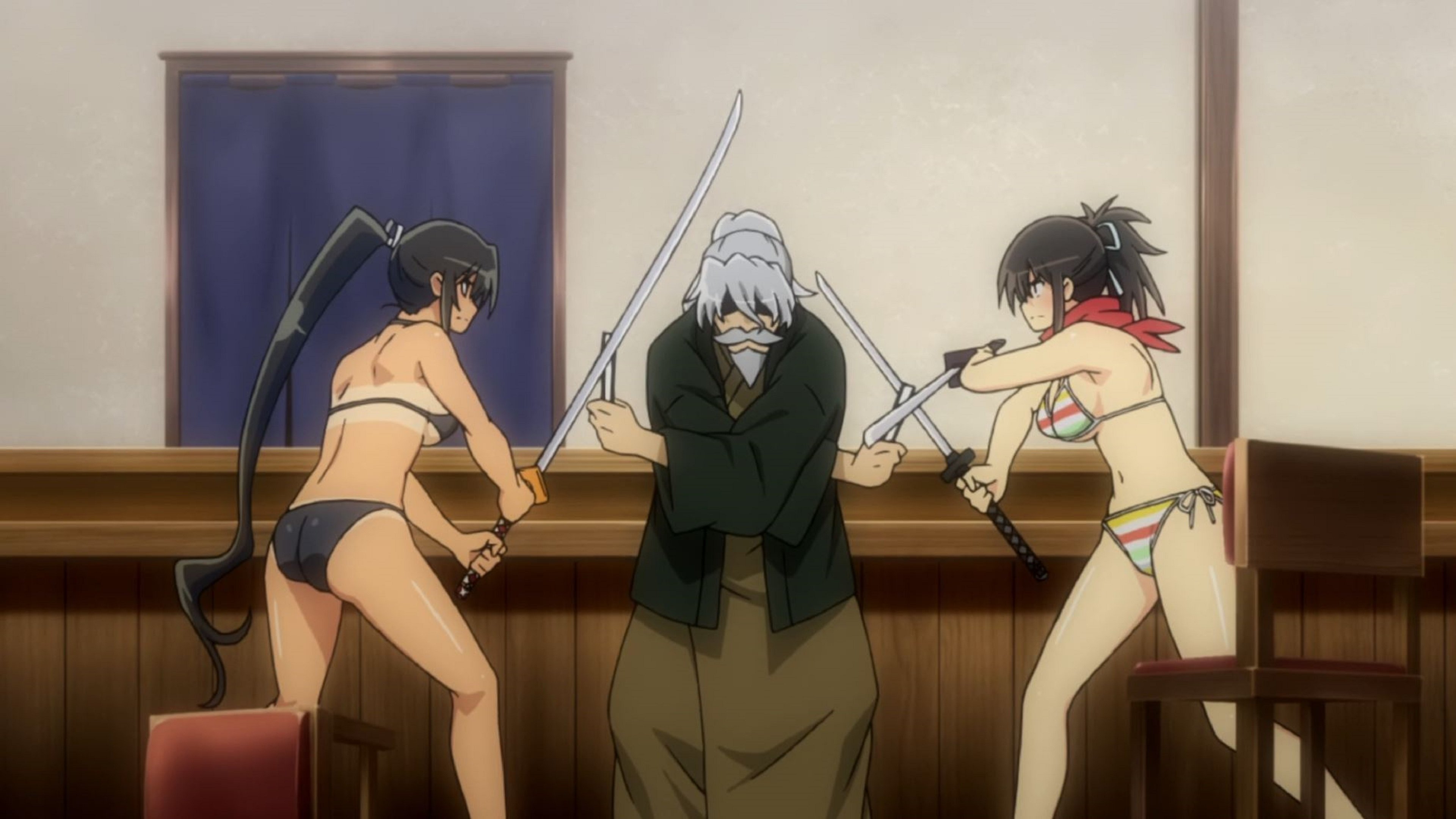 Senran Kagura: Ninja Flash