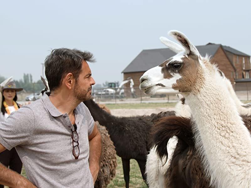 De viaje con los Derbez