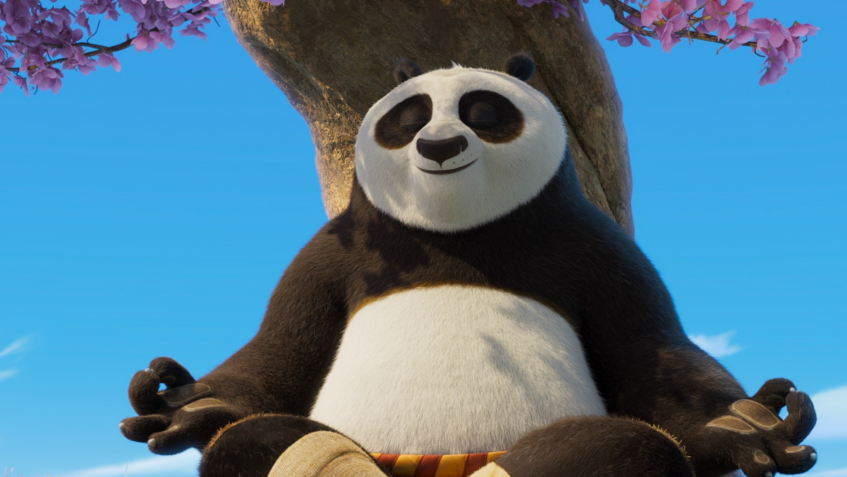 Kung Fu Panda 4. (2024)