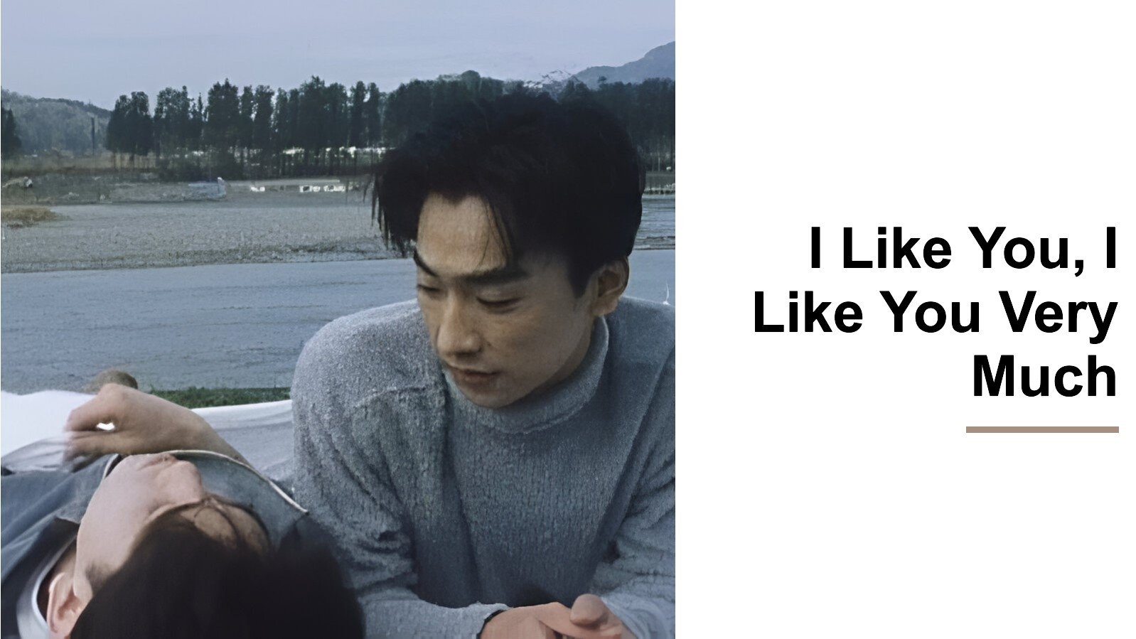 I Like You, I Like You Very Much (1994)