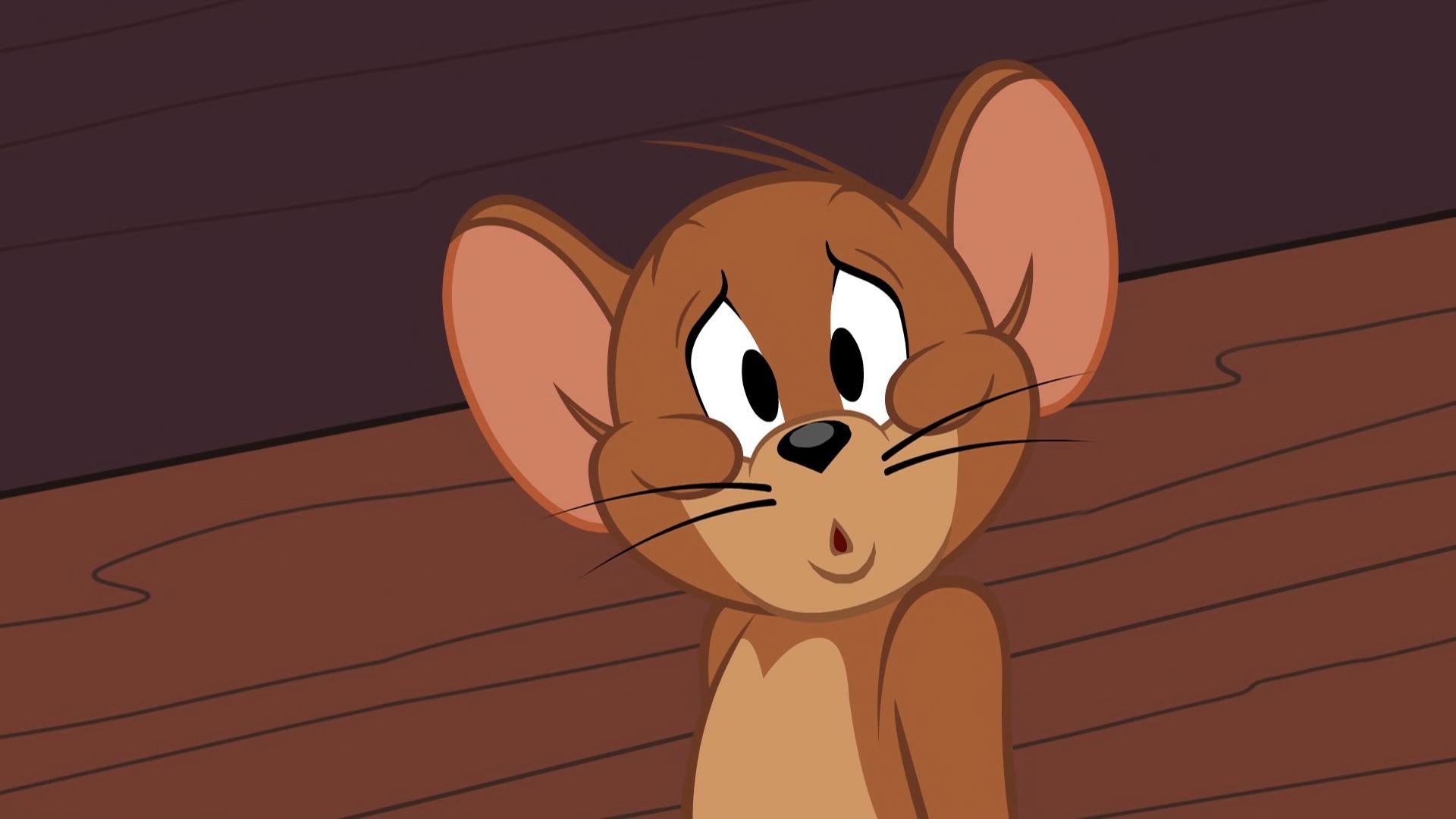 The Tom and Jerry Show