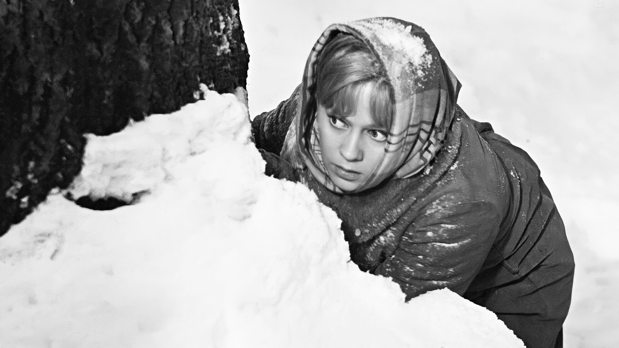 The Russian Forest (1964)
