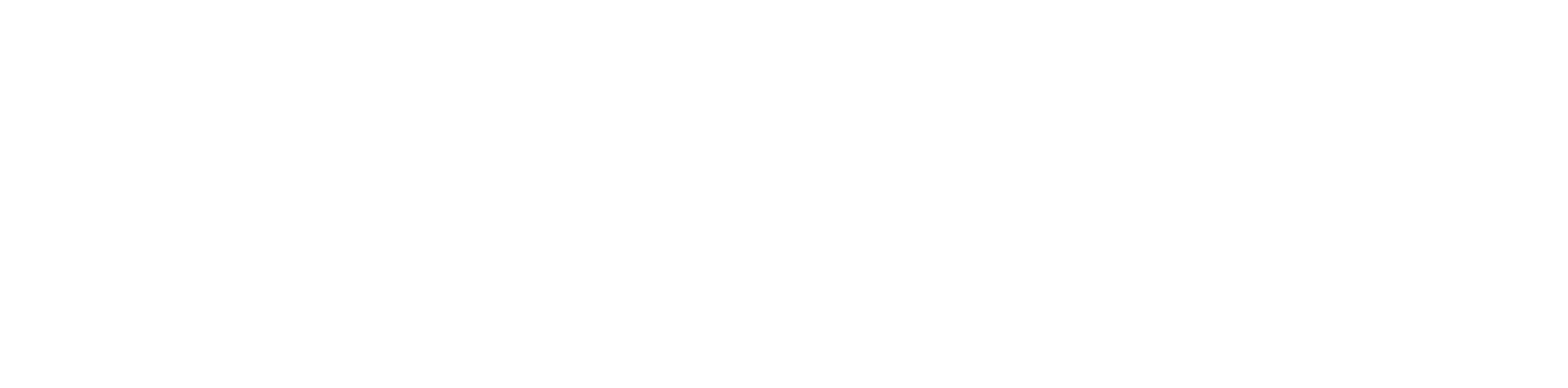 Plus One Logo