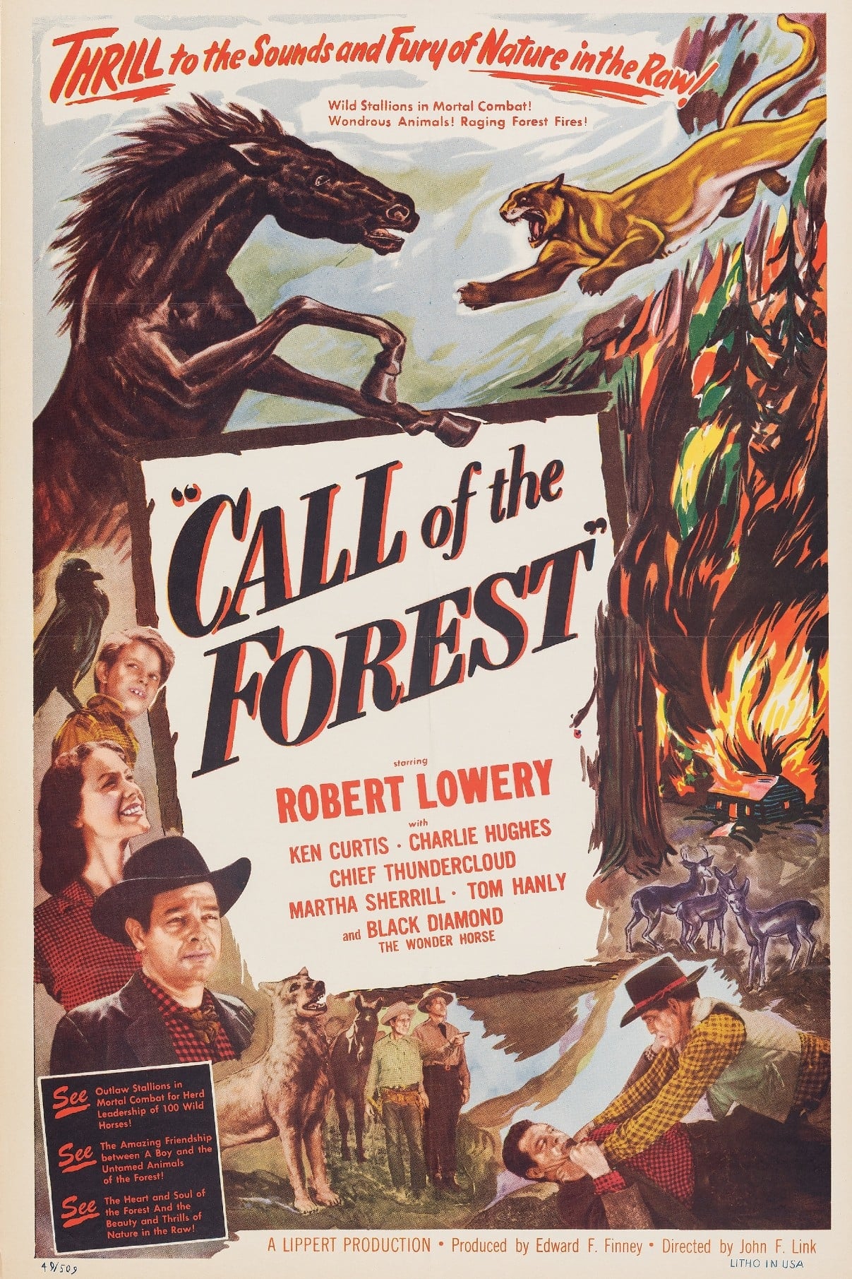 Call of the Forest on FREECABLE TV