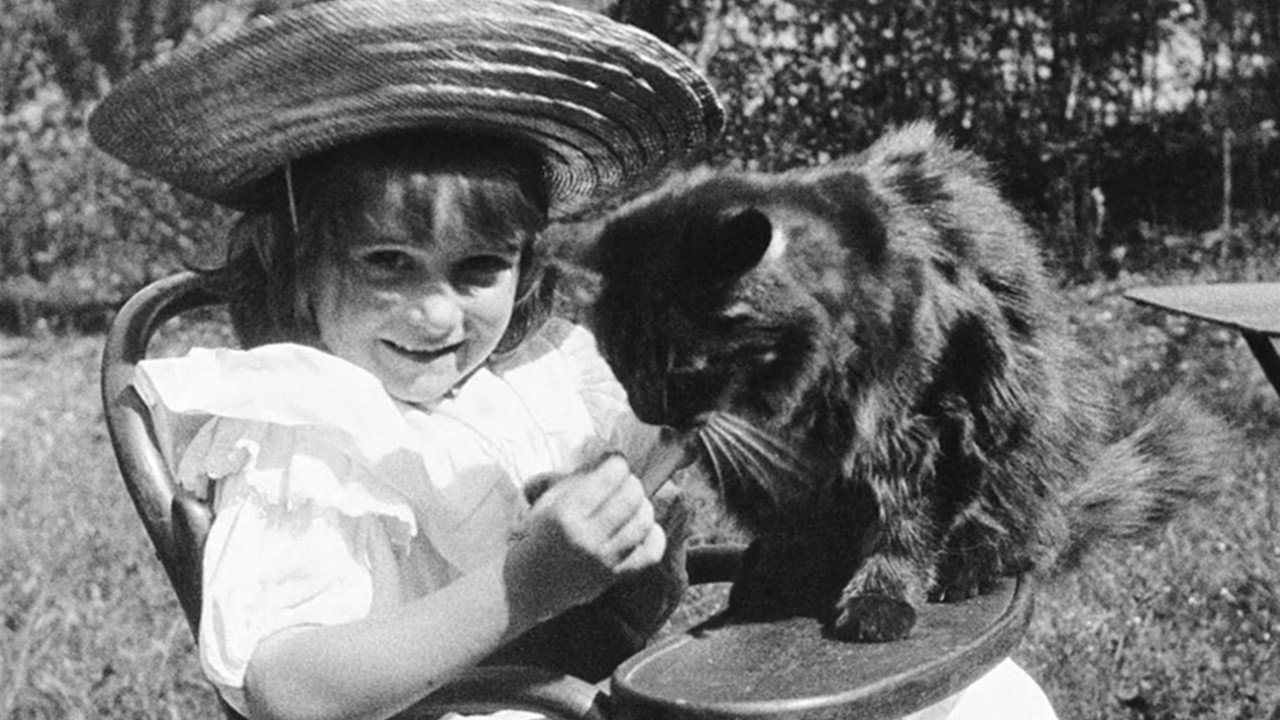 The Little Girl and Her Cat backdrop