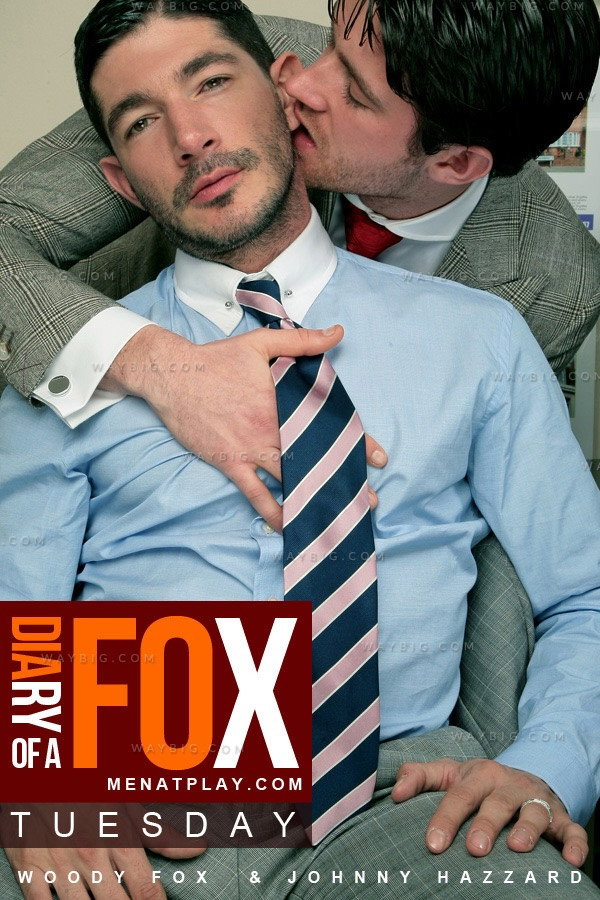 Diary of a Fox: Tuesday Poster