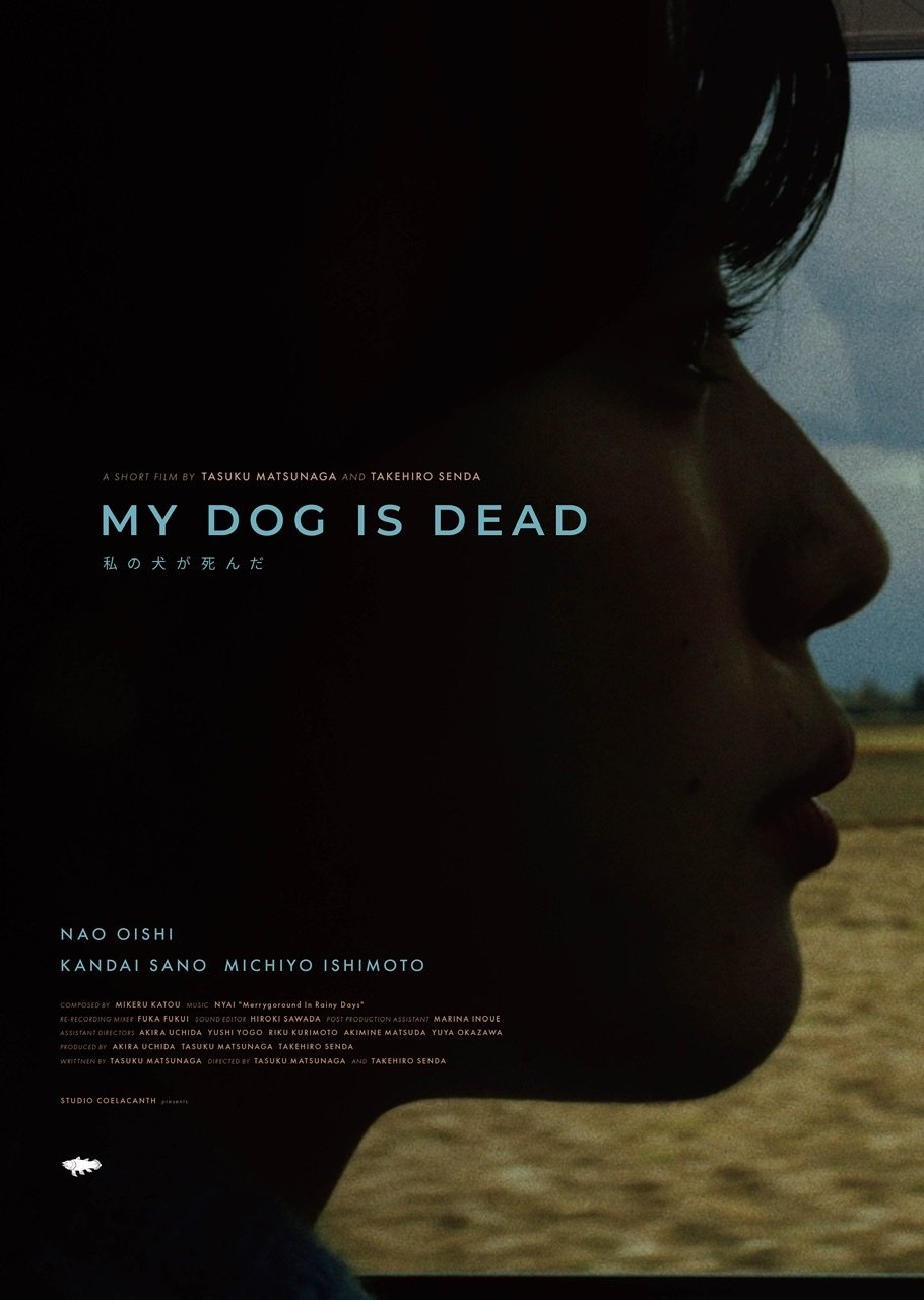 My Dog is Dead My Dog is Dead