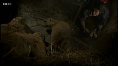Episode 16