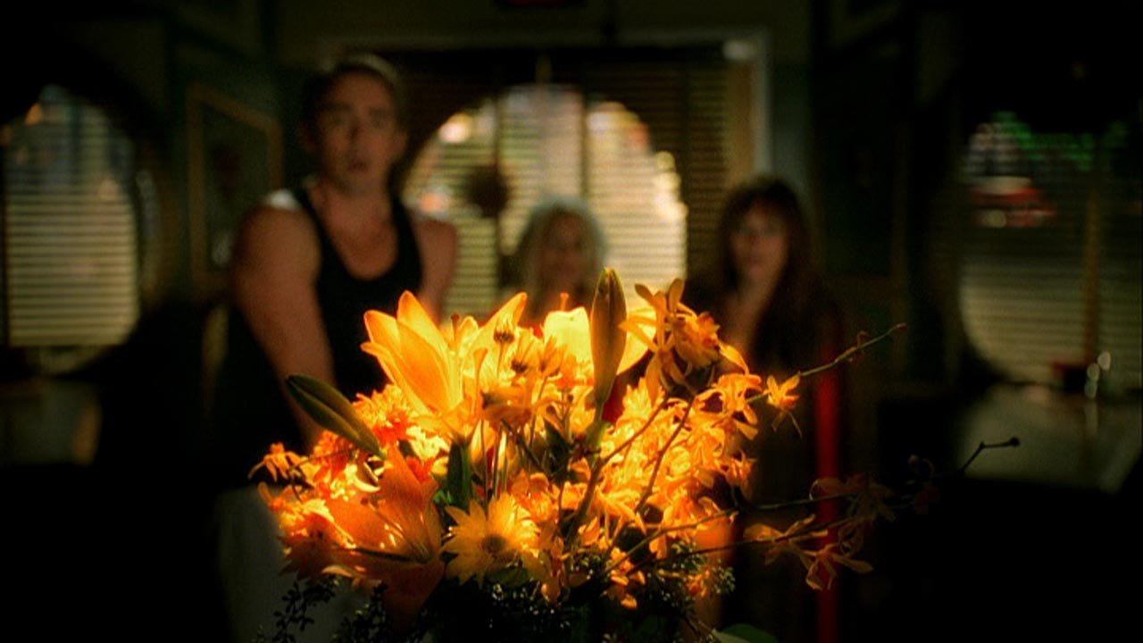 Pushing Daisies