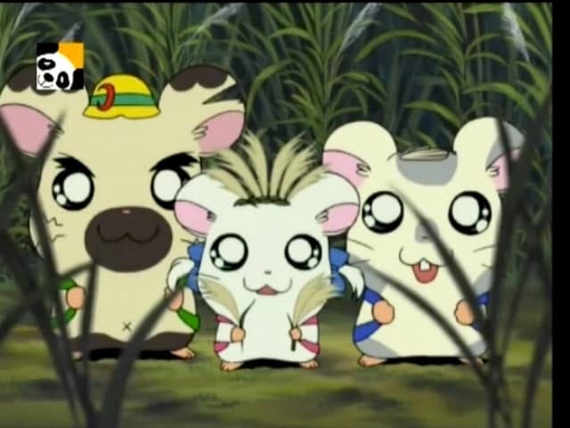 Hamtaro: pequeños hámsteres, grandes aventuras 1x73