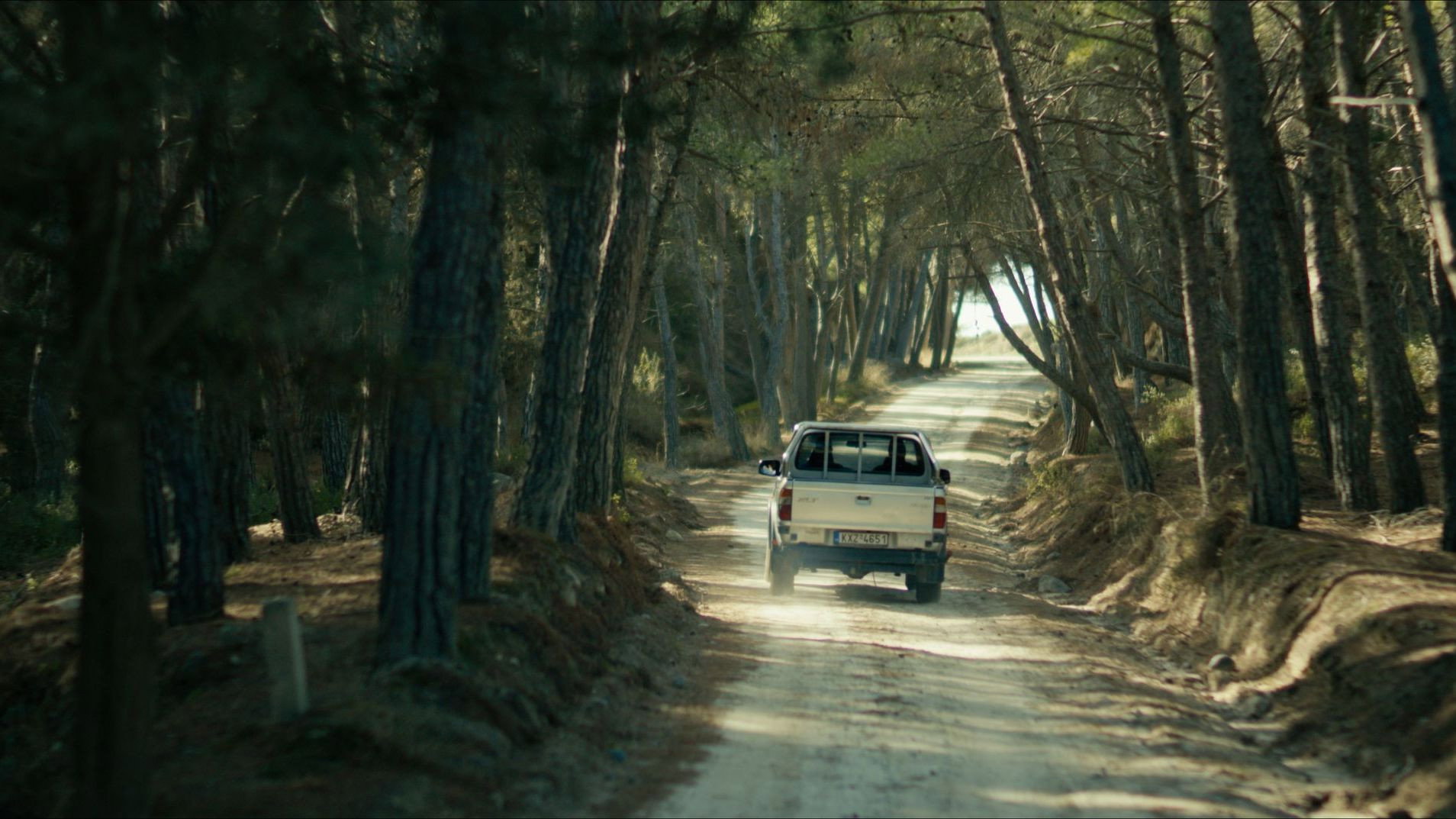 Secret of the Forest