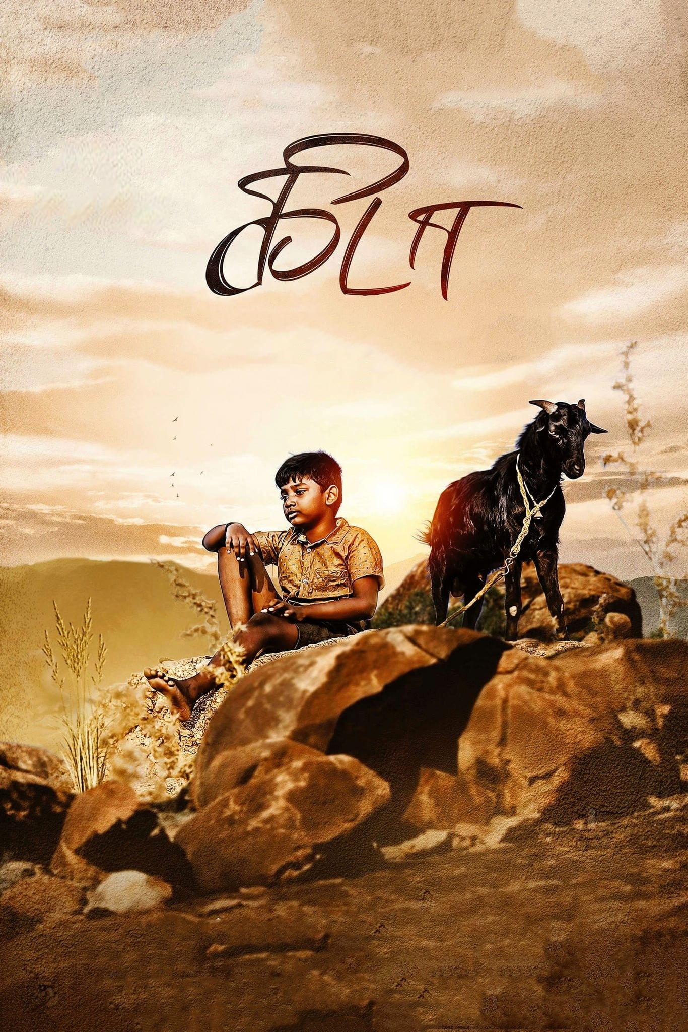 Kida (2023) Hindi + Tamil AMZN WEB-DL 1080p 720p 480p HEVC EAC3 6ch ESub