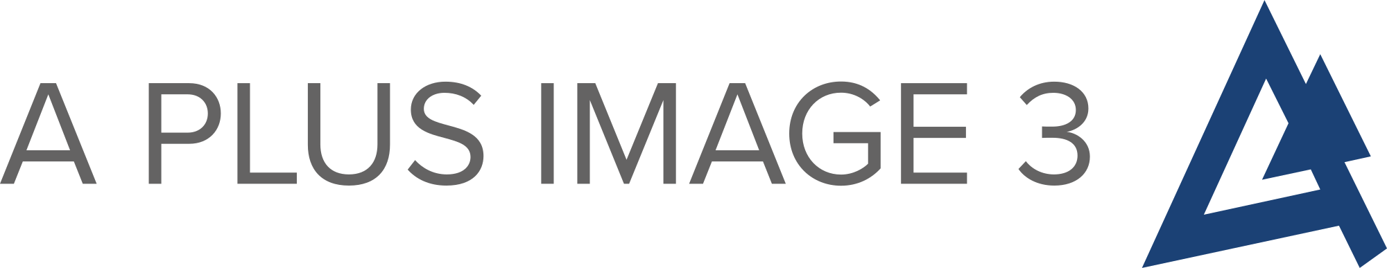 A Plus Image 3
