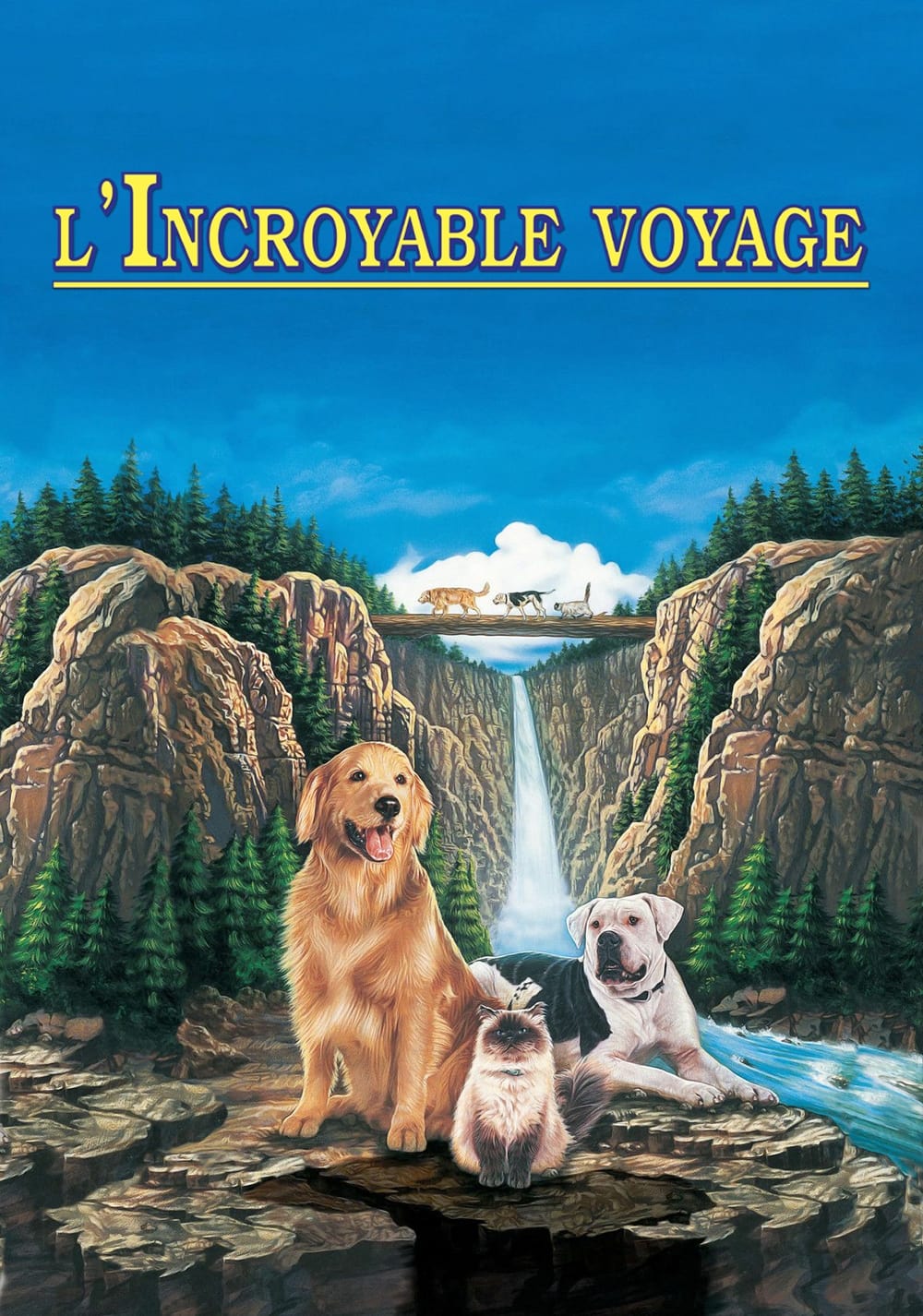 L'INCROYABLE VOYAGE