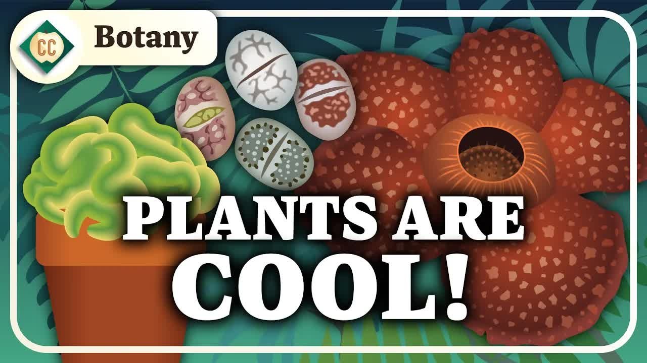 Thumbnail for What is Botany? Season 1 Episode 1