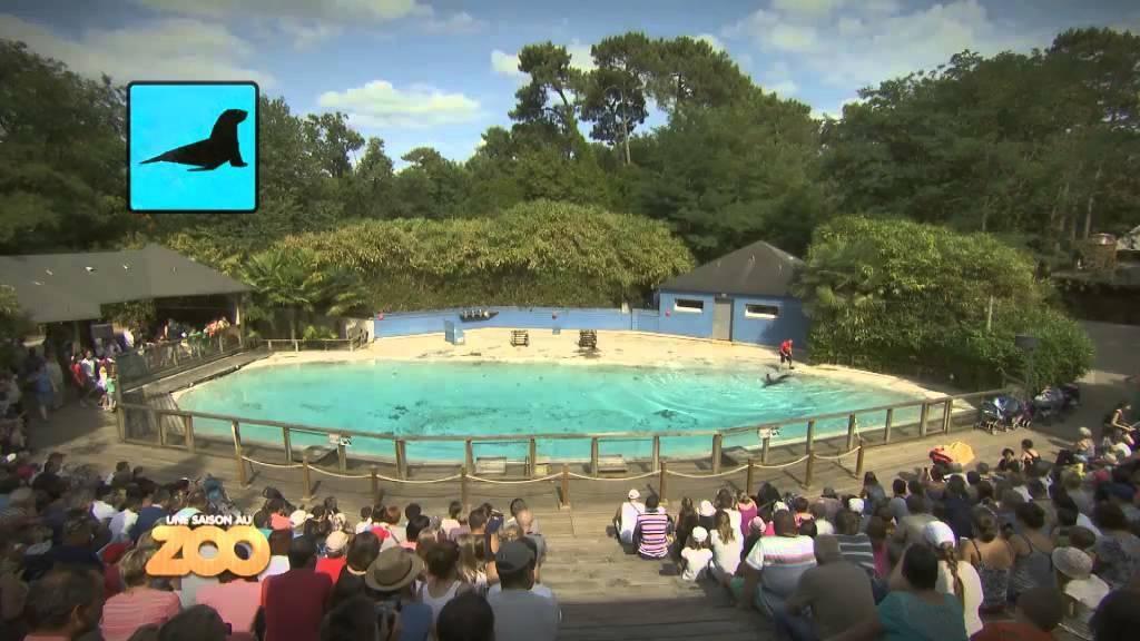 Une saison au zoo