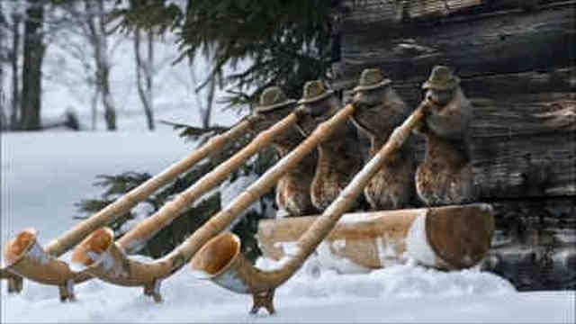 Les Marmottes - Hiver (1)