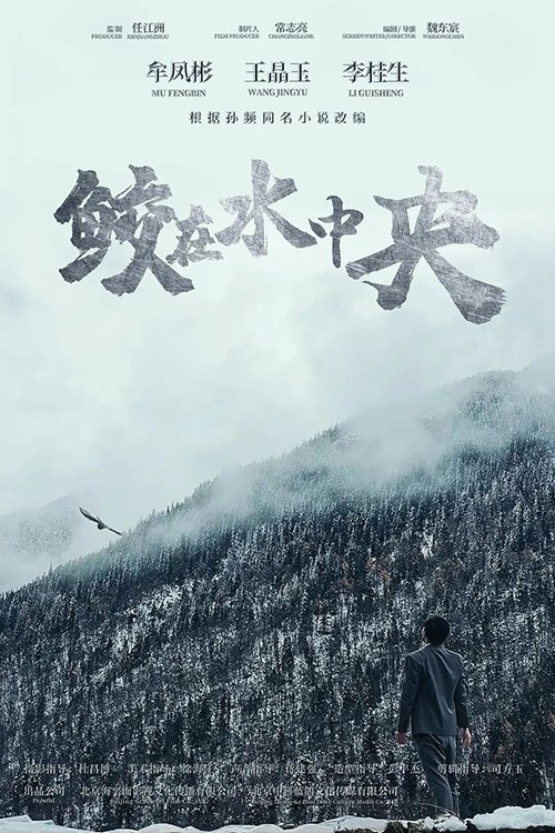 鲛在水中央 鲛在水中央