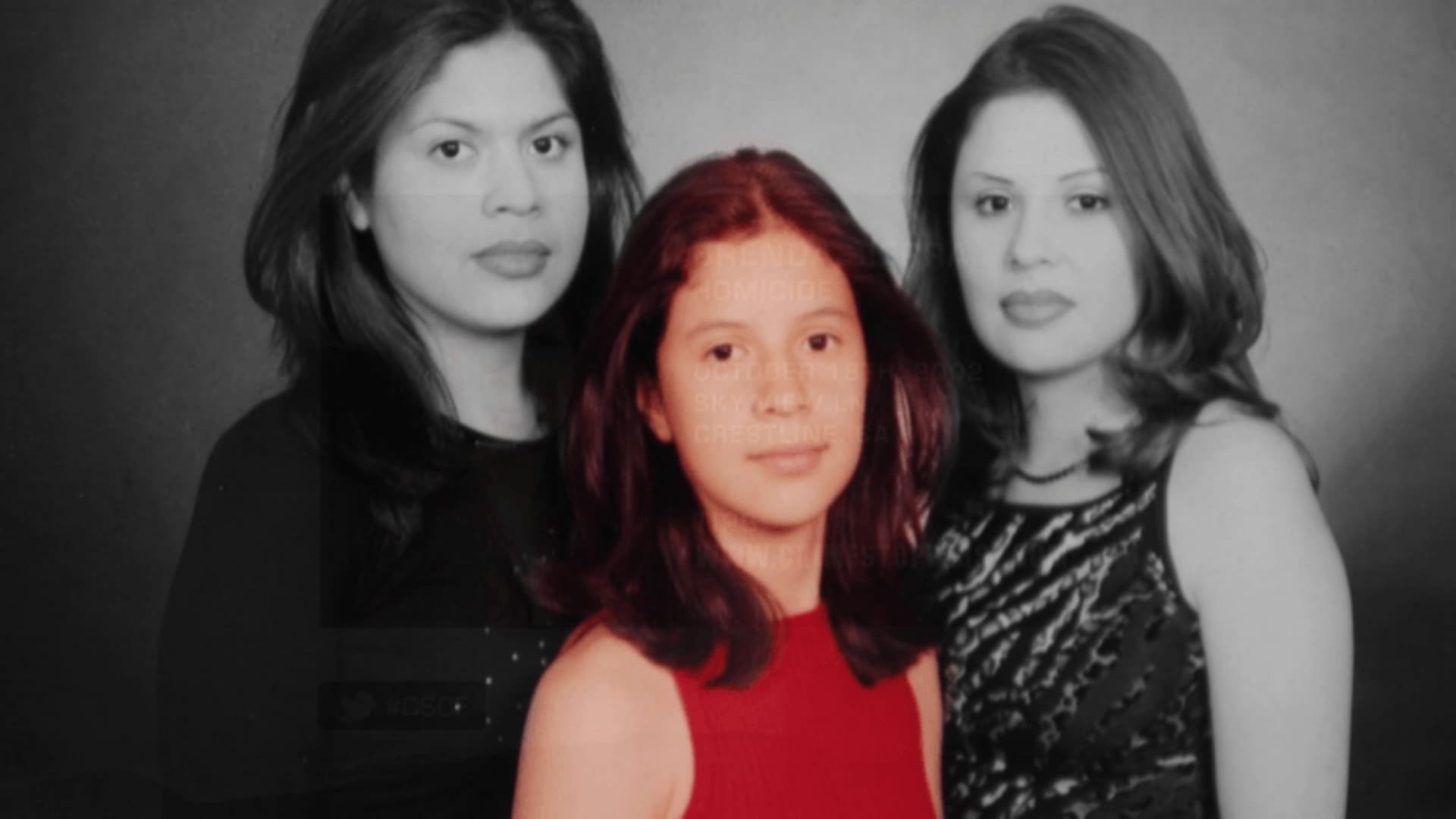 Crime Stoppers: Case Files - Épisode 15