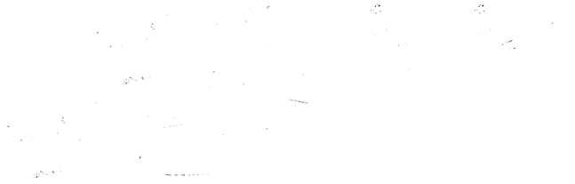 Burning Body Logo